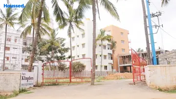 Project Image of Sizzle Palm Kingdom - Image 331623