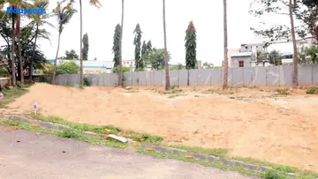 Project Image of Sizzle Palm Kingdom - Image 331622