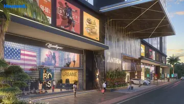 Project Image of Banyan Tree The Anthem - Image 281210