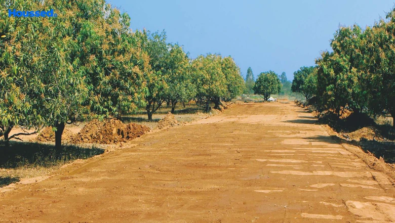Project Image of Green City Green Meadows in Maheshwaram, Hyderabad - Image 301105