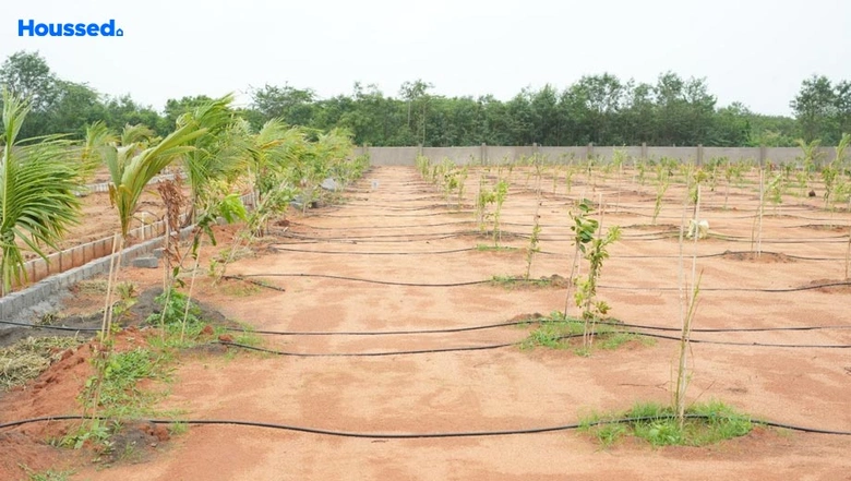 Project Image of Mahalakshmi Nandanam in Kandukur, Hyderabad - Image 274650
