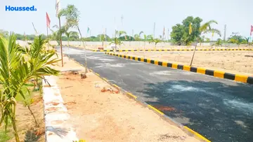 Project Image of ASR Hans Exotica - Image 347148