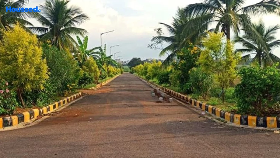 Project Image of ASR Green Count in Sadasivpet, Hyderabad - Image 350051