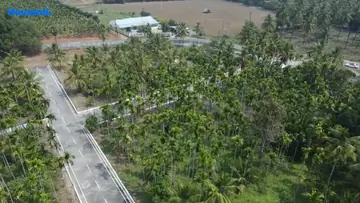 Project Image of Mayon Tamara - Image 354031