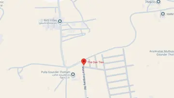 Location of Altis The Oak Tree - Image 328460