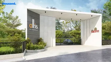 Altis The Oak Tree