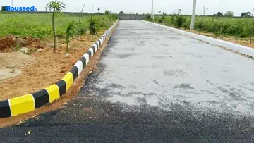 Project Image of Srika Green Chips - Image 347747
