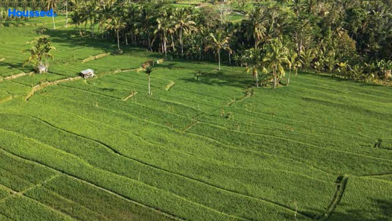 Project Image of Imperial Goa Phase 1 in Baingini, Goa - Image 276808