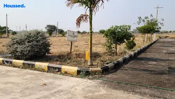 Project Image of Navya Milestone - Image 349664