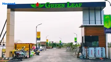 Project Image of Green Leaf Signature - Image 353541