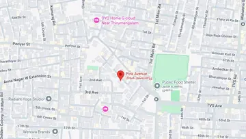 Location of Vamanan Pink Avenue - Image 352581