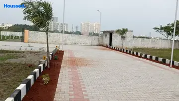 Project Image of Real Daffodil Park - Image 360373