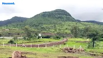 Project Image of Sairung Emerald Valley - Image 367422