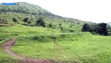 Project Image of Sairung Emerald Valley - Image 367421