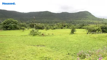 Project Image of Sairung Home In Woods - Image 367460