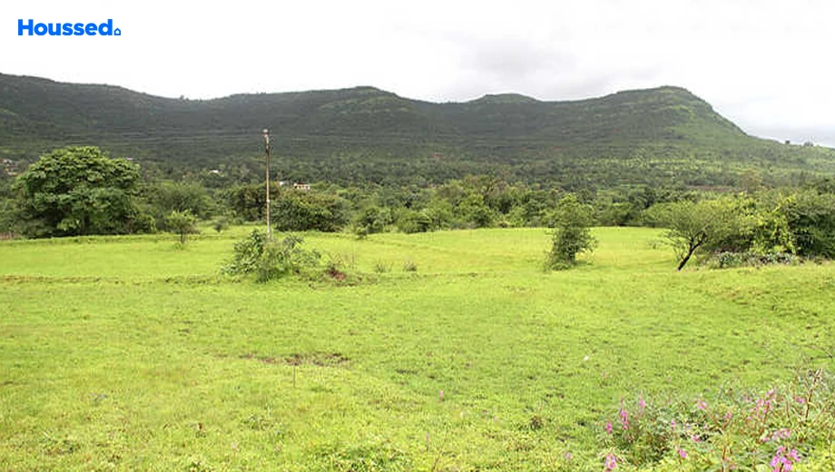 Project Image of Sairung Home In Woods in Hinjewadi, Pune - Image 367460