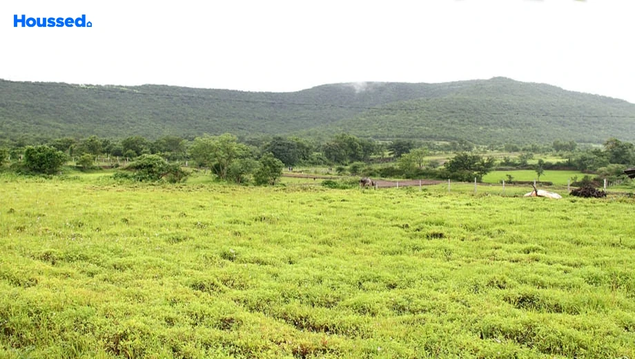Project Image of Sairung Green Meadows in Hinjewadi, Pune - Image 367465