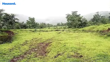 Project Image of Sairung Foliage Park - Image 367469