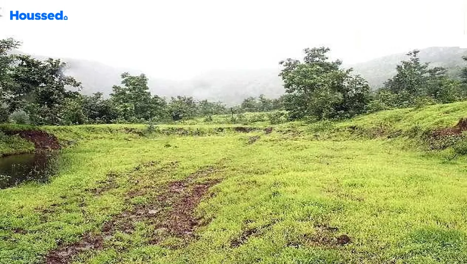 Project Image of Sairung Foliage Park in Kasarsai, Pune - Image 367469