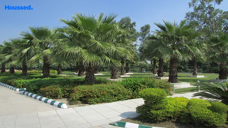 Project Image of Eldeco County in Kanpur Road, Lucknow - Image 364927