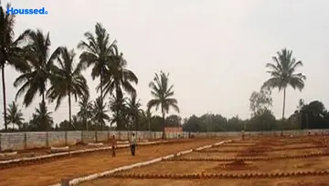 IFI Anand Niketan