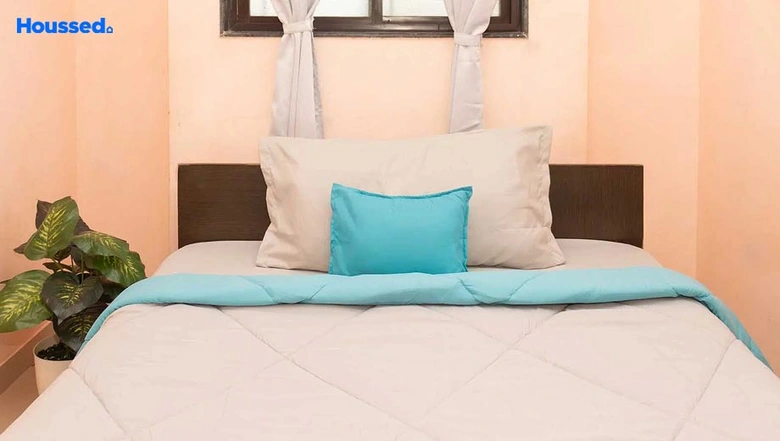Project Image of Boys PG/Hostel in Zolo Mount View, Hinjewadi - Image 284998