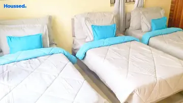 Project Image of Girls & Boys PG/Hostel in Zolo Keystone Kotturpuram, Chennai - Image 287852
