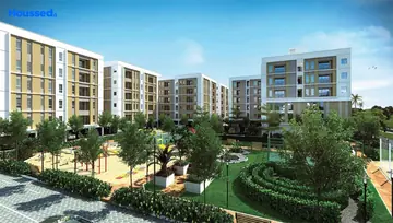 Project Image of Radiance The Pride 2 - Image 289067