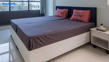 Project Image of Girls & Boys PG/Hostel in Settl Sofia HSR Layout, Bangalore - Image 298794