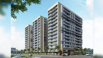 Project Image of Milestone Euphoria - Image 304413