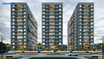 Project Image of Milestone Euphoria - Image 304415