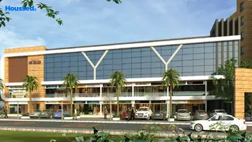 Commercial Windsor Aralia