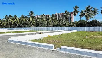 Project Image of Staar RPS Garden - Image 324900
