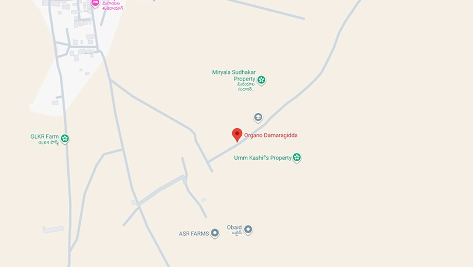 Location of Organo Damaragidda in Chevella, Hyderabad - Image 325206