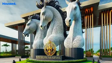 Amenities of Myron Dynasty - Image 325383