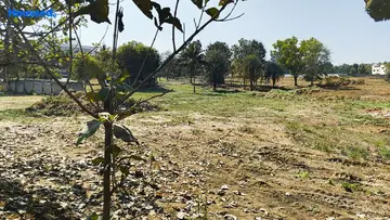 Project Image of Bloomfields - Image 326068
