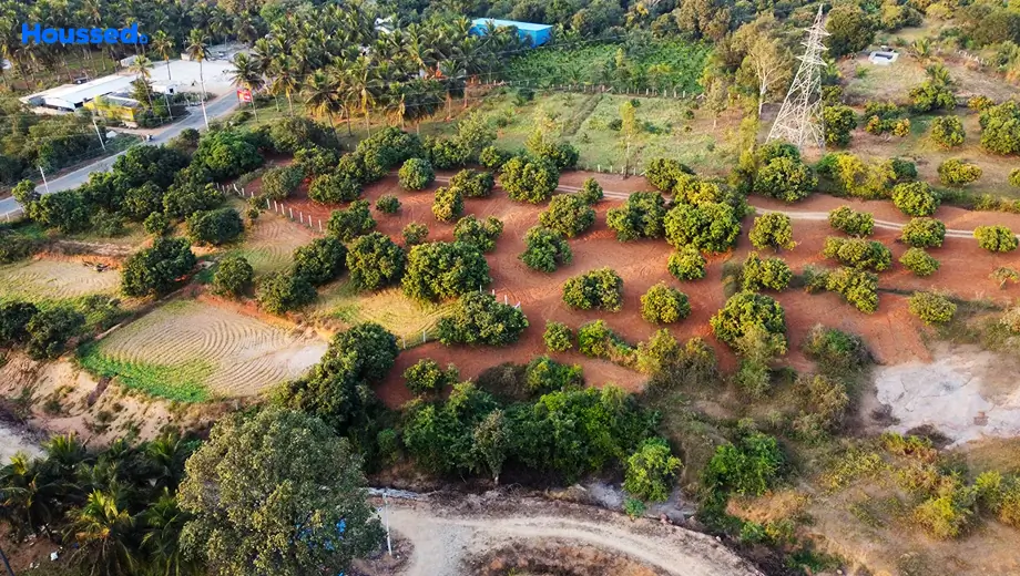 Project Image of Hi Living Mountains And Mangoes in Ramanagara, Bangalore - Image 326160