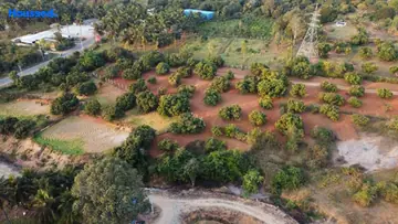 Project Image of Hi Living Mountains And Mangoes - Image 326158