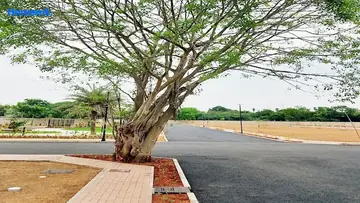 Project Image of Sobha Blossom - Image 328575