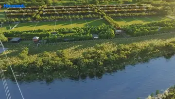 Project Image of Godrej Forest Estate - Image 329667