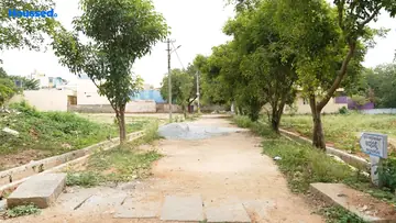 Project Image of Enrich Gardenia - Image 329826