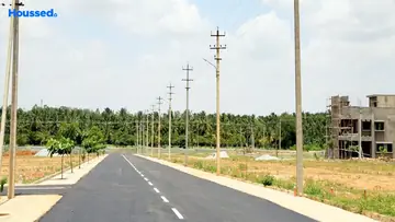 Project Image of Enrich Green City - Image 330001