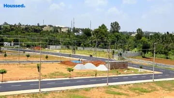 Project Image of Enrich Green City - Image 329999