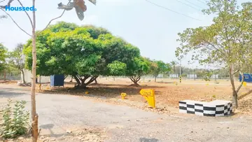 Project Image of Rajarshi Paranjyothi - Image 332746
