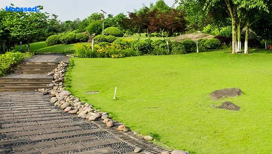 Project Image of Synergy Paloma Eva in Chandkhed, Pune - Image 334402