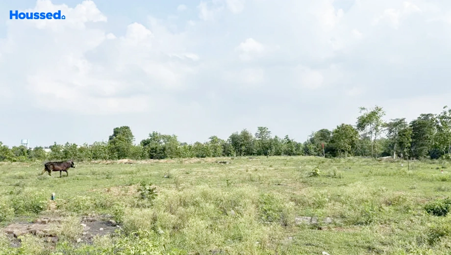 Project Image of Oshian Blithesome Avenue Phase 2 in Hingna Road, Nagpur - Image 338574