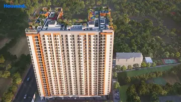 Project Image of Krisala 41 Rizz - Image 346309