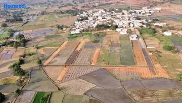 Project Image of Sunrise Nature Farms - Image 347122