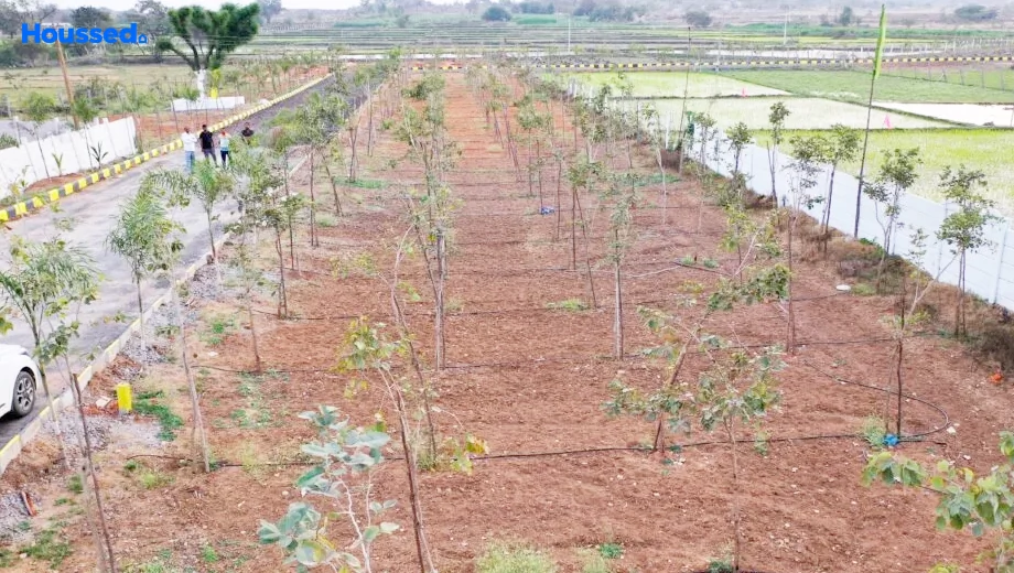 Project Image of Sunrise Nature Farms in Shadnagar, Hyderabad - Image 347123