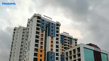 Seawood Galaxy